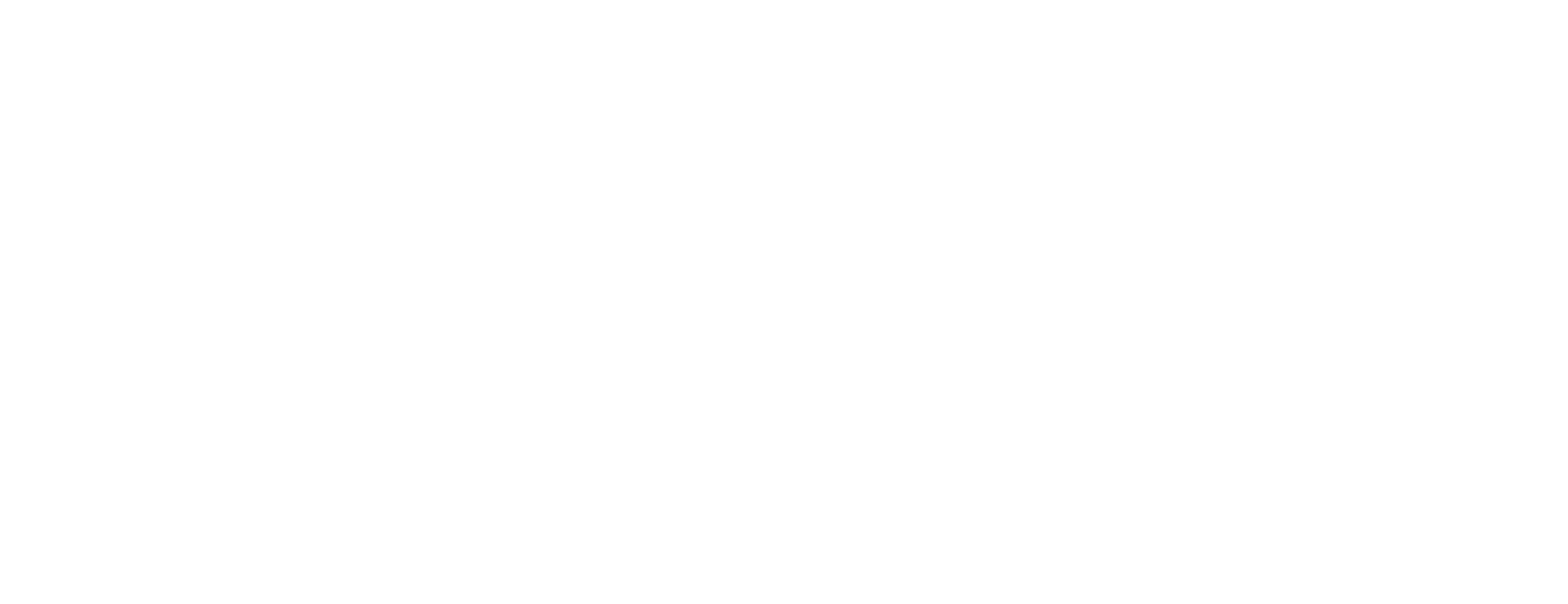 Carpe Diem Valuenet